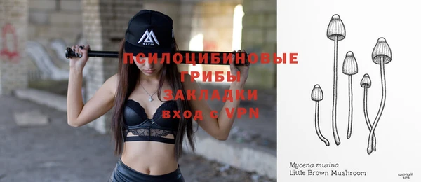 бошки Вязьма