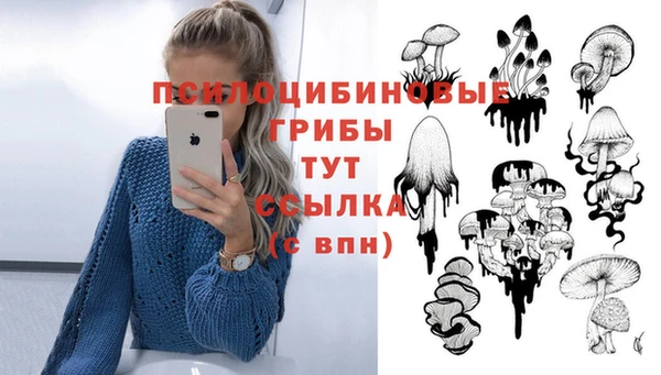 СК Вязники