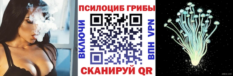 Купить где  Дятьково  Псилоцибиновые грибы мухоморы 